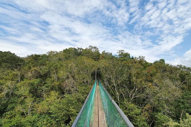 Visit Ixpanpajul: Jungle, Trekking, Hanging Bridges & Canopy - Tour From Flores - Inclusions and What to Expect