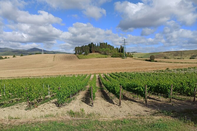 Visit of Siena & Chianti Wine Tour for Small Groups With Lunch and Tasting - Tour Details