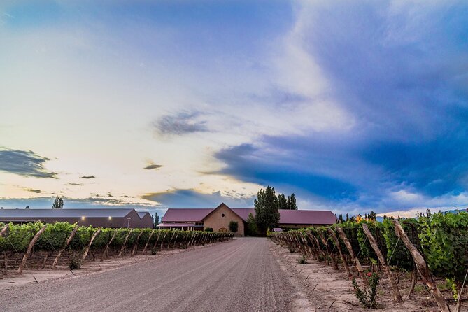 Visit Pulenta Estate Winery and Gourmet Lunch at Susana Balbo - Overview of the Experience