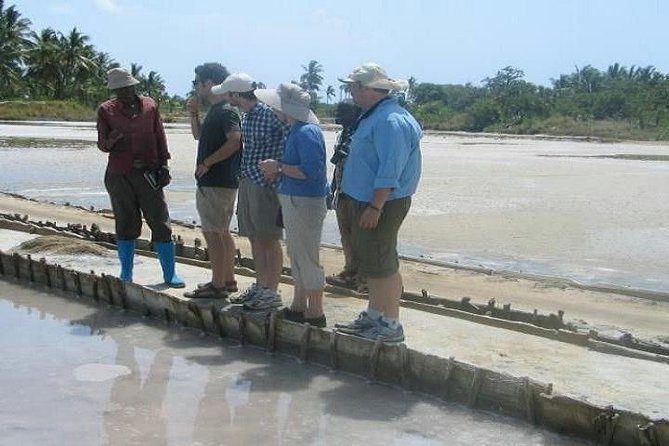Visit Salt Mining & Milk Processing Plant-From Tanga City-Full Day Tour - Pricing and Inclusions