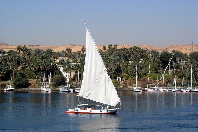 Visit to Edfu Temple by Train and Luxor West Bank, Lunch and Felucca - Train Journey to Edfu