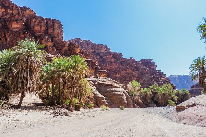 2 Best Full-Day Tours In AlUla