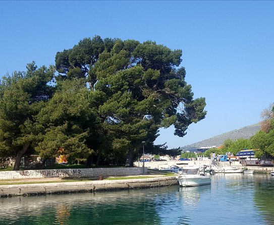 Walking Tour With Kids- Discover Split Together