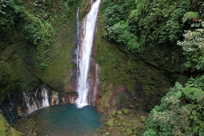 Waterfall Hiking Tour in Costa Rica - What to Expect