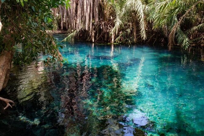 Waterfalls, Hot Spring & Local Coffee Tasting Tour - Tour Highlights