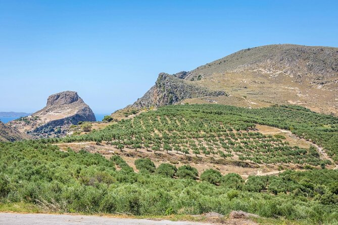 Western Crete With Winery and Olive Oil Estate Tour