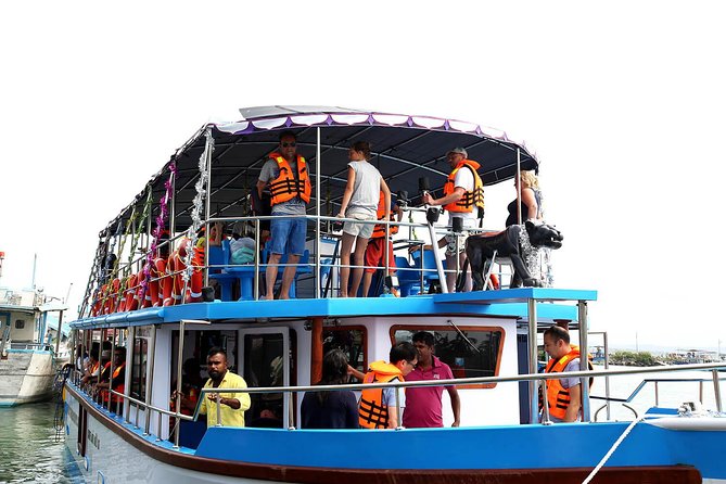Whale Watching Cruise From Unawatuna - Experiencing Whales in the Wild