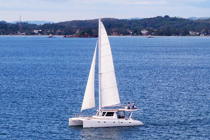 Whale Watching in Mirissa by Catamaran Cruise - Meeting Details