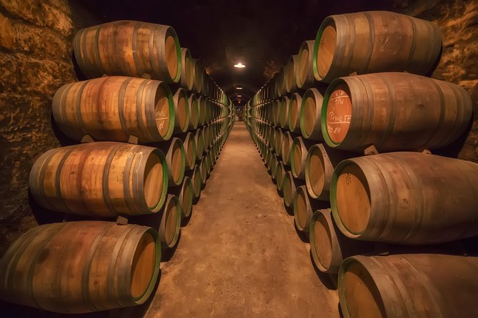 Wheelchair Friendly Rioja Wine Tour