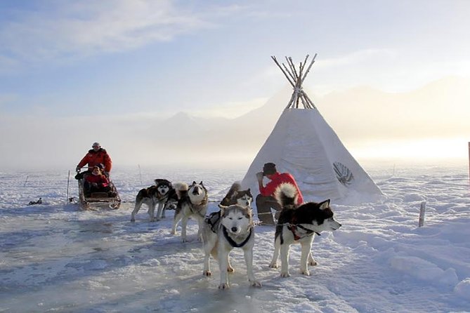 White Adventure – With Sled