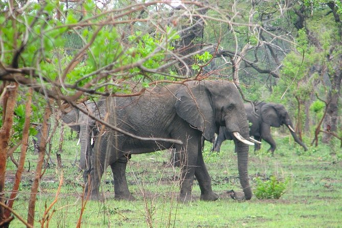 Wild West Zambia 15Days/14 Nights - Inclusions and Pricing