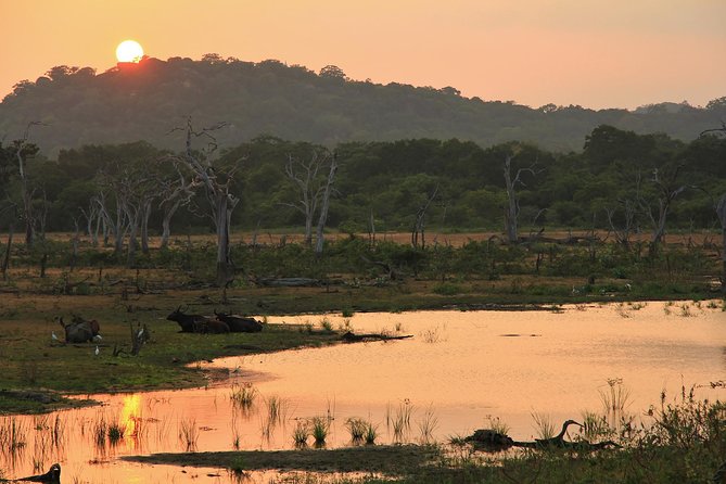 Wild Wonders and Hidden Temples From Bentota (2 Days)