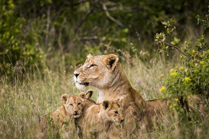 Wildlife Adventures of Central Kenya - Inclusions and Exclusions