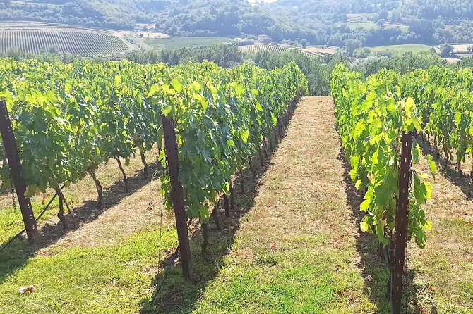 Wine and Cheese Tour in Chianti: a Gourmet Experience - Inclusions