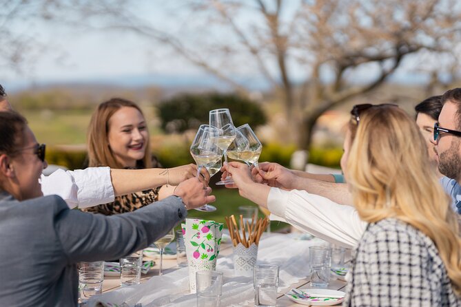 Wine and Oysters Private Guided Experience in Lim Bay - Experience Overview