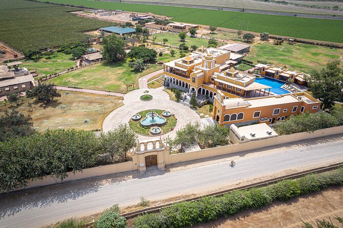 Wine and Pisco Experience From Ica or Huacachina