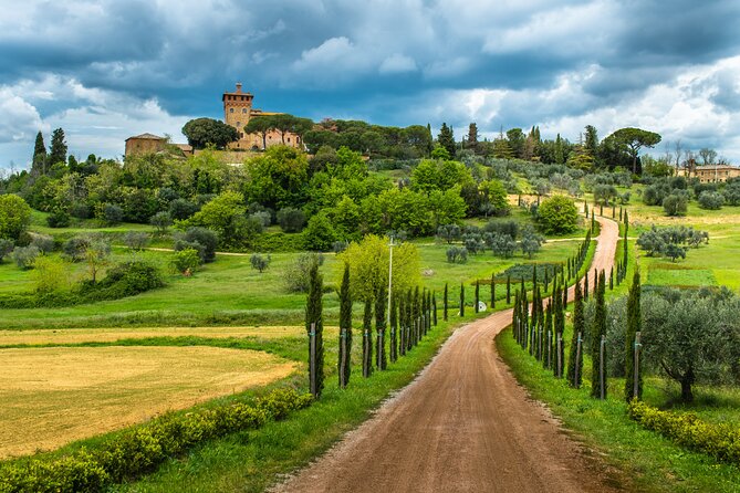 Wine Tasting and Dinner in Chianti