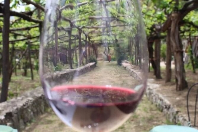 Wine Tasting Cantina Basileo - Experience Details