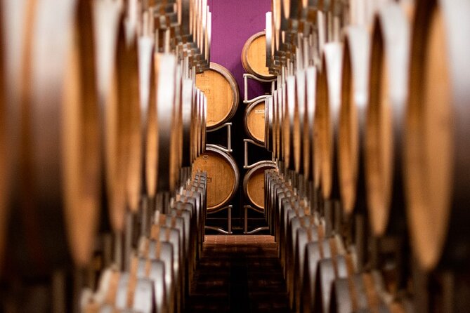 Wine Tasting in Bolgheri - Activity Details