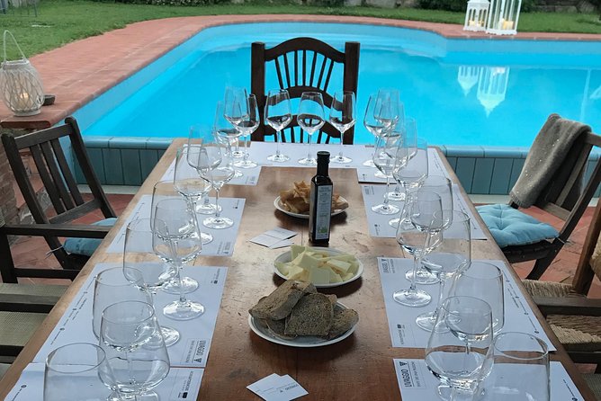 Wine Tasting in Versilia With Sommelier – 5 Wines and Local Products