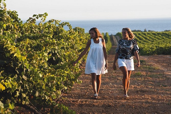 Wine Tasting of the Mazara Del Vallo Nature Reserve