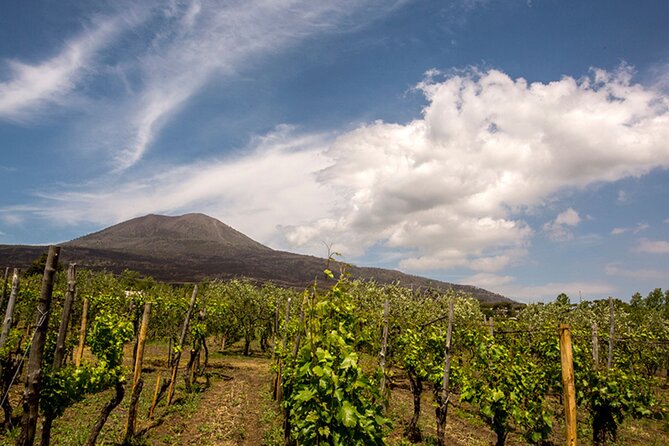 Wine Tasting on Mt. Vesuvius - Additional Info