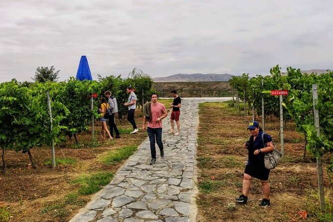 Wine Tasting Tour in Azerbaijan (Savalan ASPI)