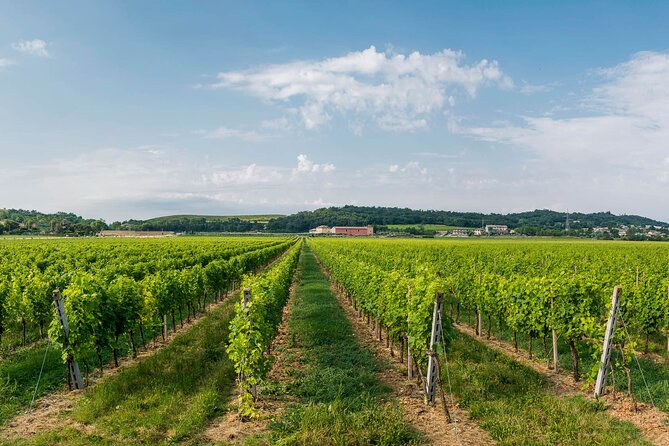 Wine Tour and Tasting on Garda Hills - Location and Meeting Point