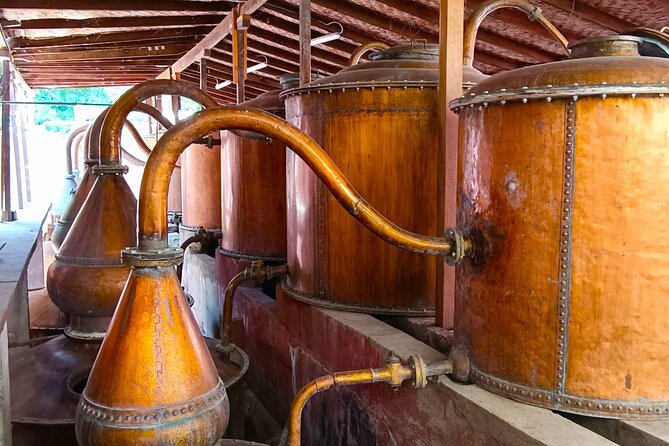 Wine Tour of the Origin, History and Tradition of Pisco