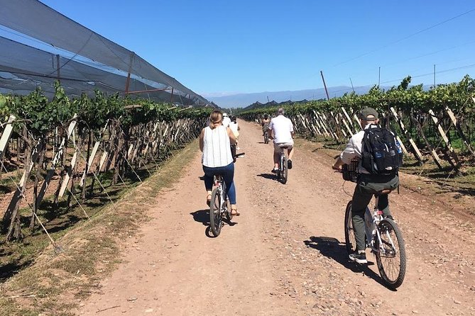 Wineries Biking Tour in Chacras De Coria - 2 Wineries - Tour Highlights and Inclusions