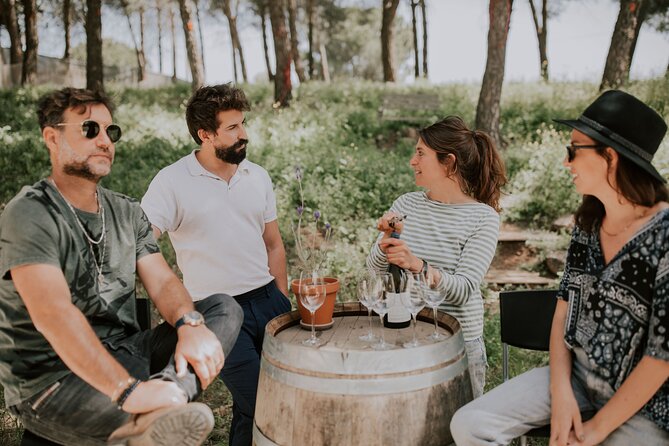 Wineries Tour In The Golan Heights With A Local Sommelier