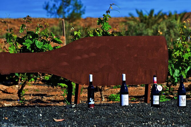 Winery and Chocolate Tasting Experience in Fuerteventura - Activity Overview