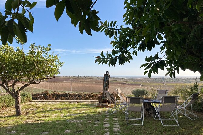 Winery Tour With Wine and Food Tasting in Noto