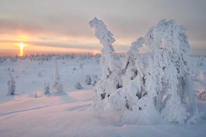 Winter Wonderland Hiking - Logistics and Meeting Point