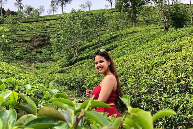 Wonder of Sri Lanka (09N / 10D) - Inclusions and Exclusions