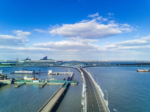 Wusongkou International Cruise Terminal-Downtown Hotel Private One Way Transfer