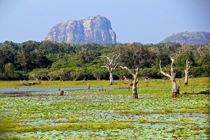 Yala National Park Safari From Hikkaduwa