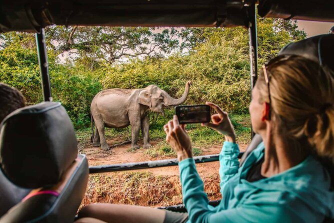 Yala Safari With Jeep, Sri Lanka - Scenic Routes and Landscapes