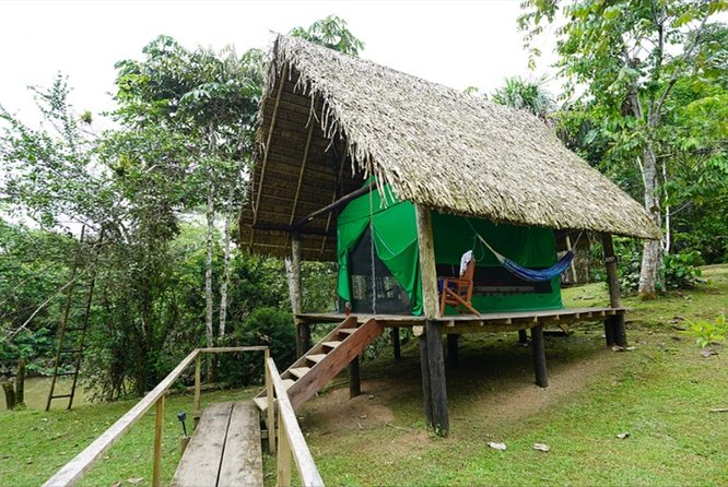 Yasuni Explorer