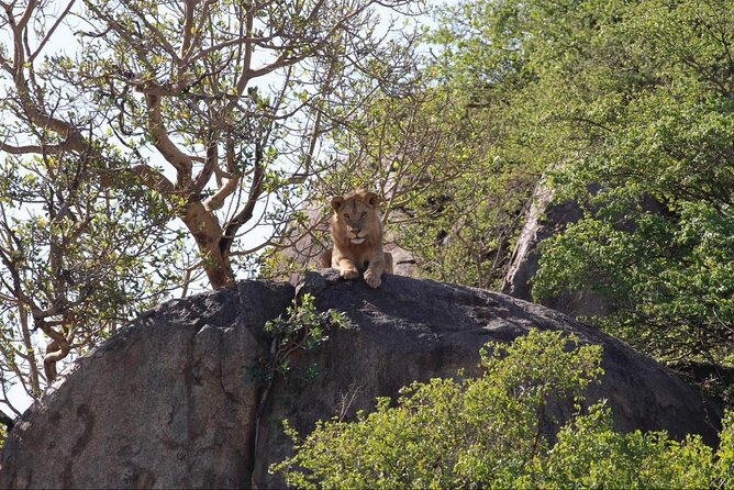 Zanzibar Beach and Nyerere Park Multiday Tours