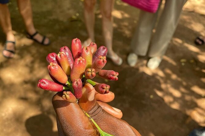 Zanzibar Spice Farm Tour and Cooking Class - Tour Highlights