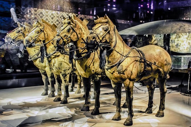 Zhengzhou Private Trip to Xian Terracotta Warriors & City Wall by Bullet Train - Trip Overview