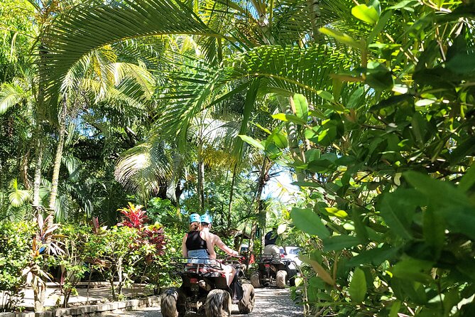 Zipp Line + Animal Sanctuary +Atvs City Walk + Rum & Chocolate Factory - Activity Overview