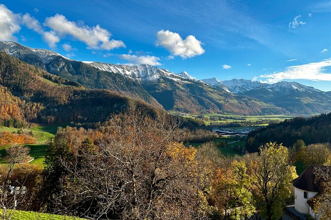 Zurich Private Tour - Gruyères, Cheese, and Lavauxs UNESCO Wine
