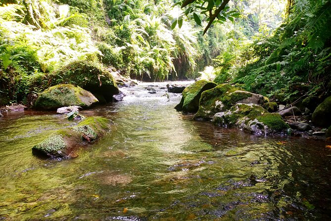 1Day Visiting Wildlife Farm and Materuni Waterfalls