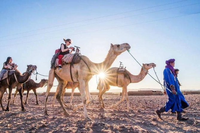 2 Activity in Some Day in Agadir Camel Ride & City Tour Agadir - Good To Know