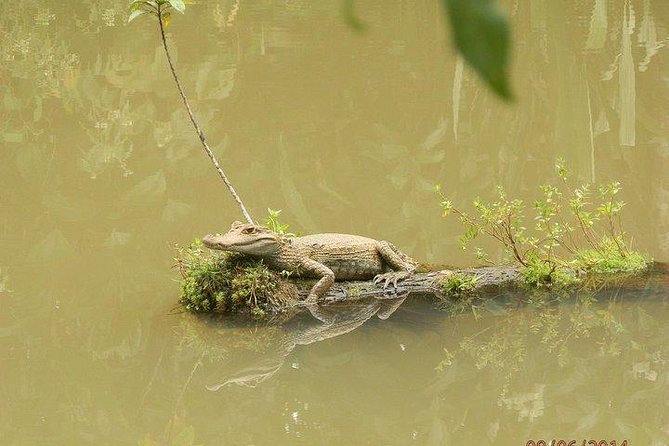 2-Day Amazon Rainforest Tours in the Pastaza Jungle - Good To Know
