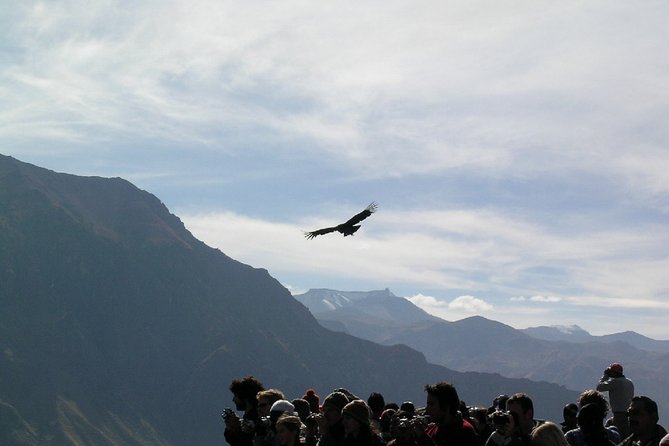 2-Day Colca Canyon Trek - Good To Know