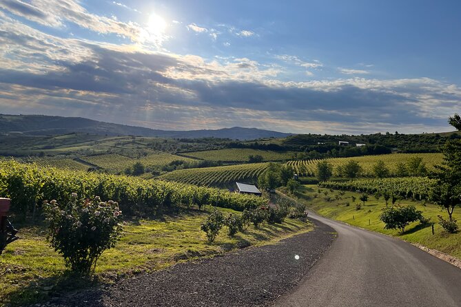 2 Day Green Hills Bike and Wine Escape Days - Good To Know