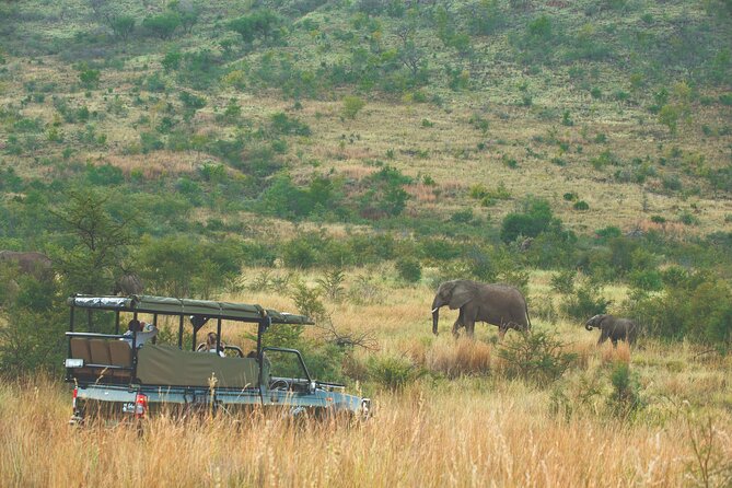 2 Day Luxury Pilanesberg Park Safari - 4* Lodge - Good To Know
